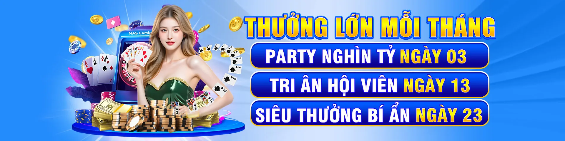 Hình ảnh chính 69VN06 khuyến mãi