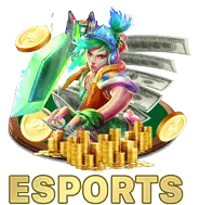 Chương trình VIP